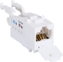 Einsatz ITplus6 RJ45/u Kat.6A 10G mit Staubschutz weiss