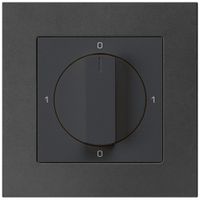 UP-Drehschalter kallysto.pro 0/3L schwarz mit Drehgriff