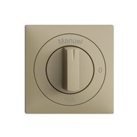 Frontset 0-Auto-0-Main EDIZIOdue sand 60×60mm für Drehschalter