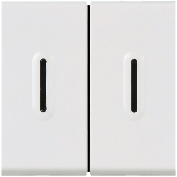 EB-Wipptaster MOS 2×AR 6A weiss 2 Module