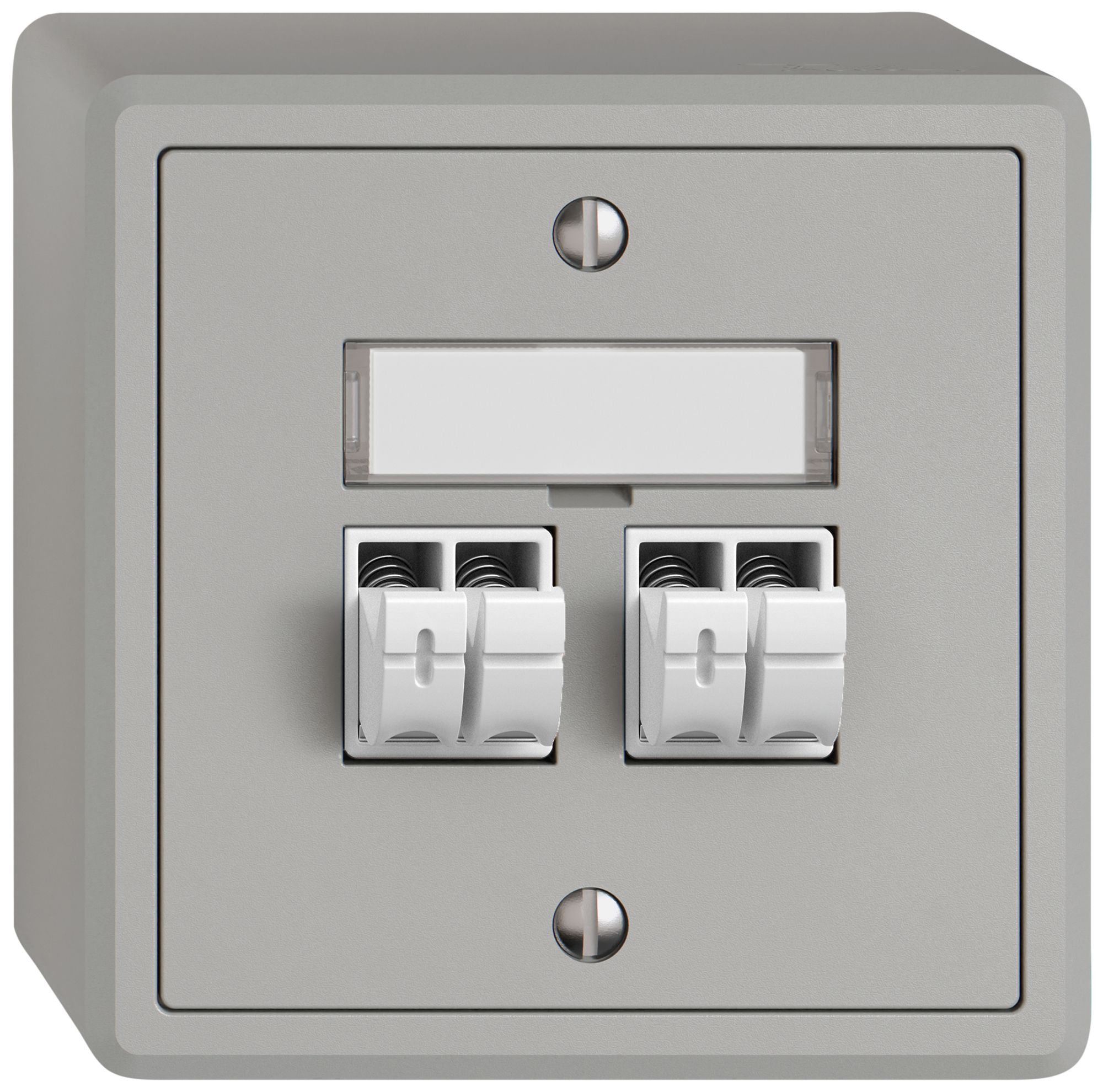 Prise audio AP EDIZIO.liv SNAPFIX® 2× grc