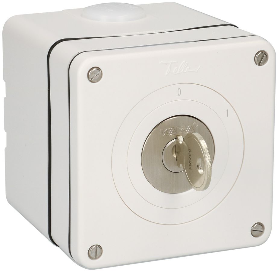 AP-Ausschalter NEVO 2P, IP21, 0-1, Zyl.1007F, Abz.12h, Plan 631984, ws