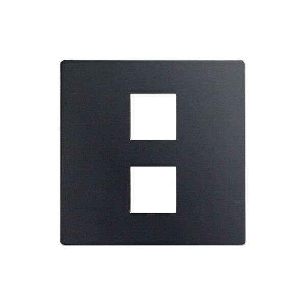 Frontplatte EDIZIOdue elegance für 2×Taster graphitgrau