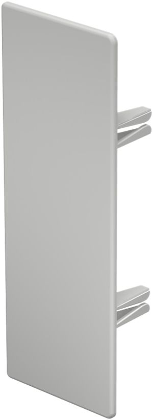 Abschlussplatte Bettermann zu Installationskanal WDK lichtgrau 60×170mm