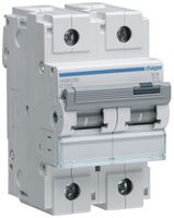 Disgiuntore Hager MCB 2P 400V tipo C 100A 3UM