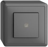 AP-Leuchtdruckschalter EDIZIOdue 3/1L dunkelgrau m.Linse, KS, LED gelb