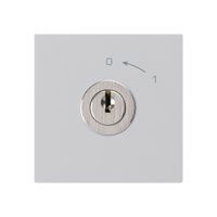 Schwenktaster 0<-1/2L hellgrau kallysto mit Schloss Kaba 8