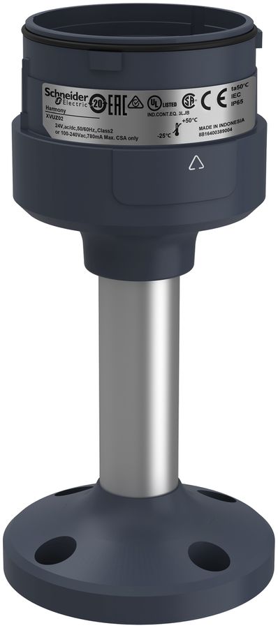 Pied de montage Schneider Electric 100mm