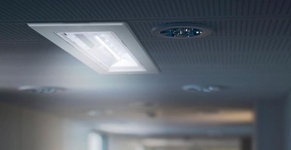 Notleuchte ESYLUX ELX EL LED 3h/8h IP54 3W 388×148×46mm weiss