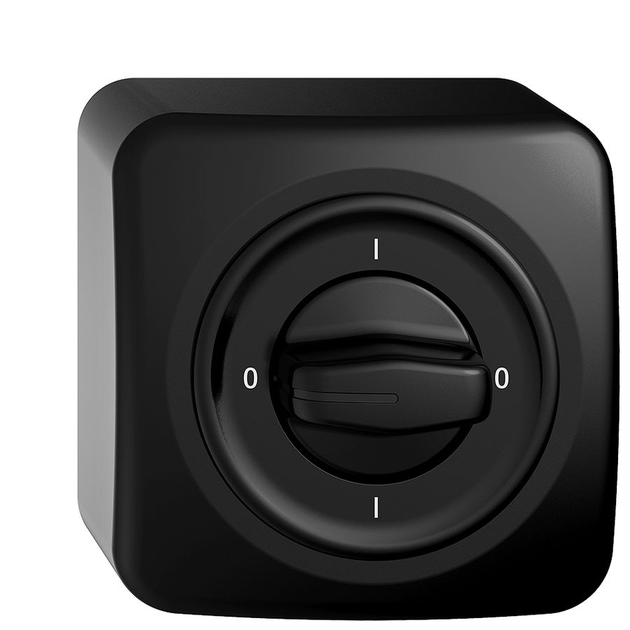 AP-Drehschalter STANDARDdue 0/2L schwarz mit Drehgriff