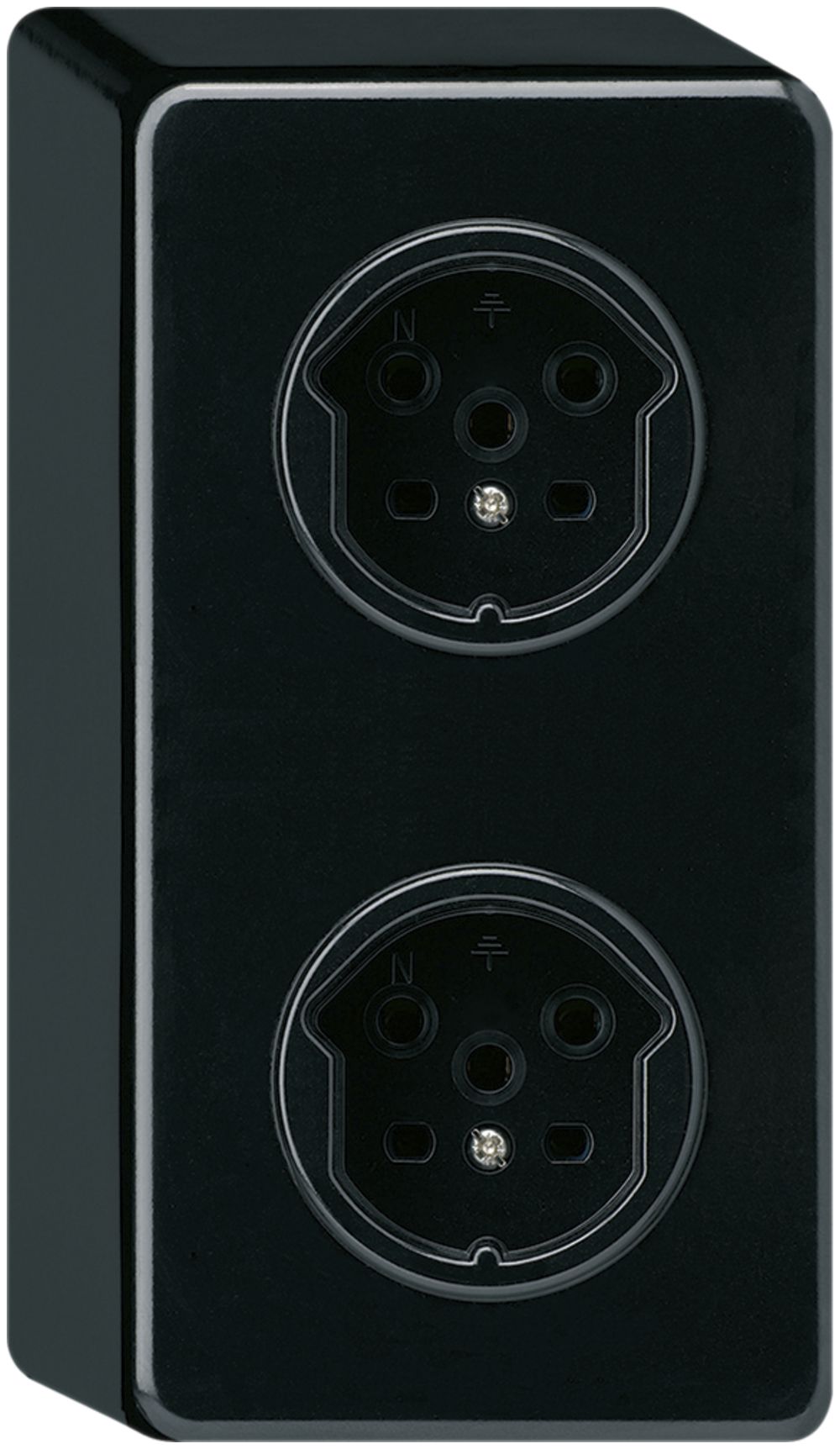 Combinaison AP 2×1 HA basico 2×type 15 avec bornes enfichables noir