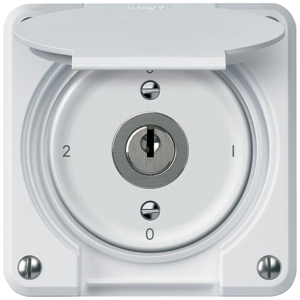 UP-Schlüsselschalter robusto Umschalter 16A 250V 86×86mm weiss