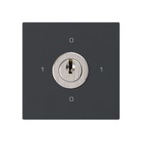 Intérieur interrupteur à clé kallysto 0/3L noir avec serrure Kaba 8