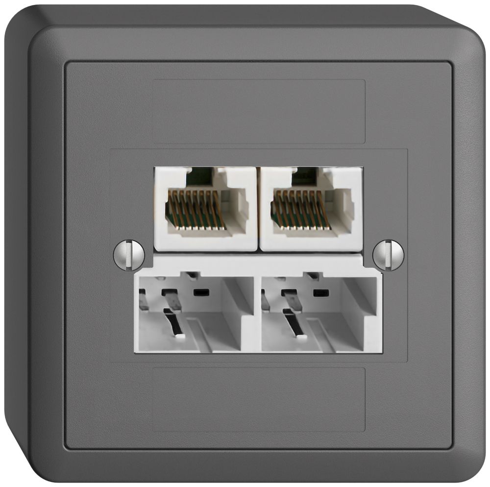 AP-Dose SOHO 2×TT/2×RJ45/u getr.ITplus EDIZIOdue dunkelgrau