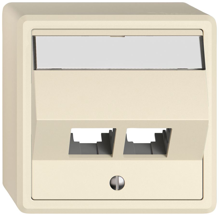 AP-Montageset EDIZIO.liv EASYNET S-One SNAPFIX® schräg 2×RJ45 cr