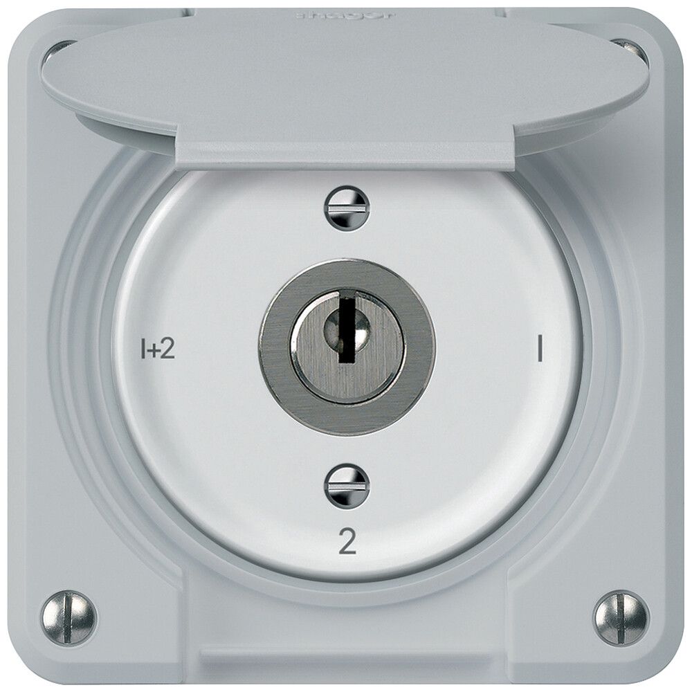 Interruttore a chiave robusto interruttore seriale 16A 250V 86×86mm grigio
