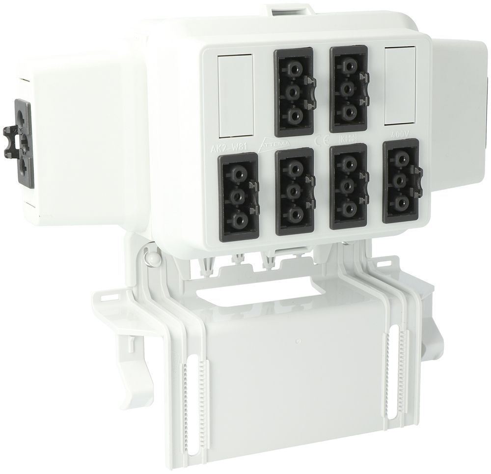 Boîtier AGRO, in: 3P no, out: 6×3P no L1, Wieland