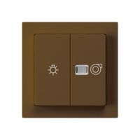 Frontset kallysto braun 60×60mm mit Symbol Licht+Ventilation