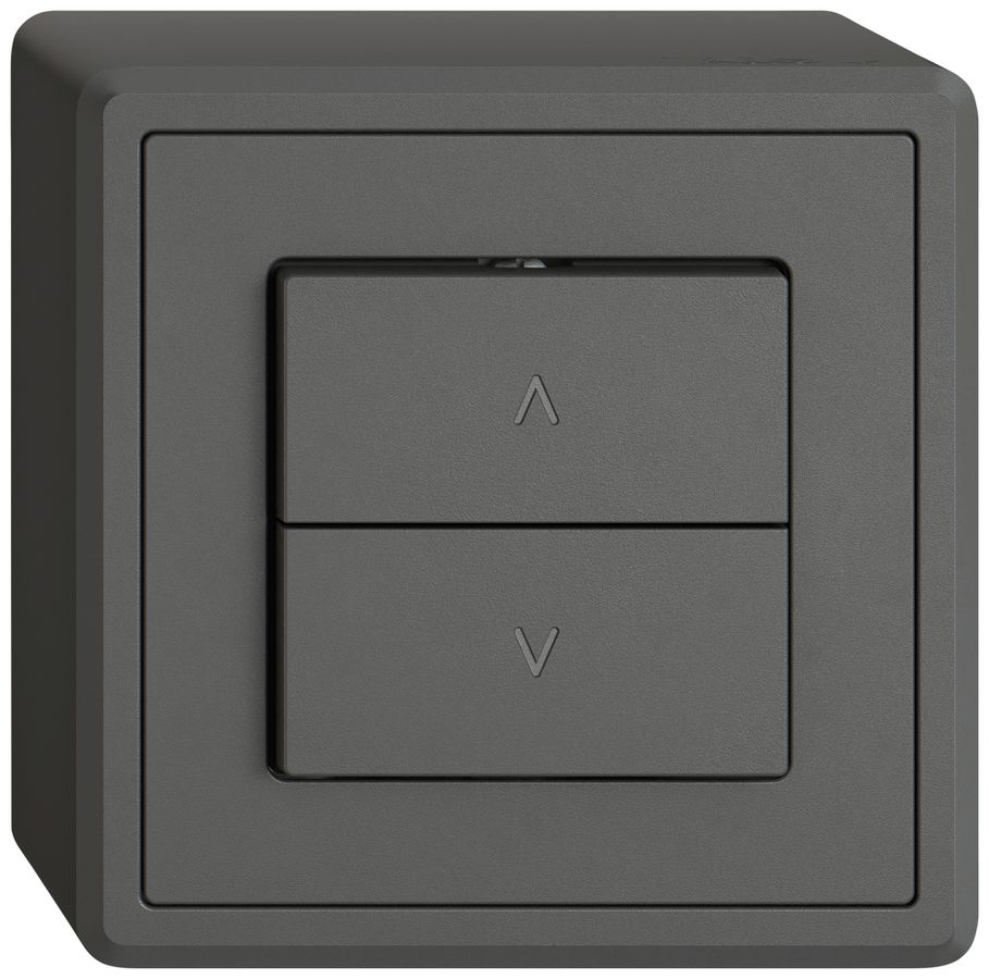 AP-Storentaster EDIZIO.liv SNAPFIX® 10A 250V 2 Tasten 1 Kanal dgu