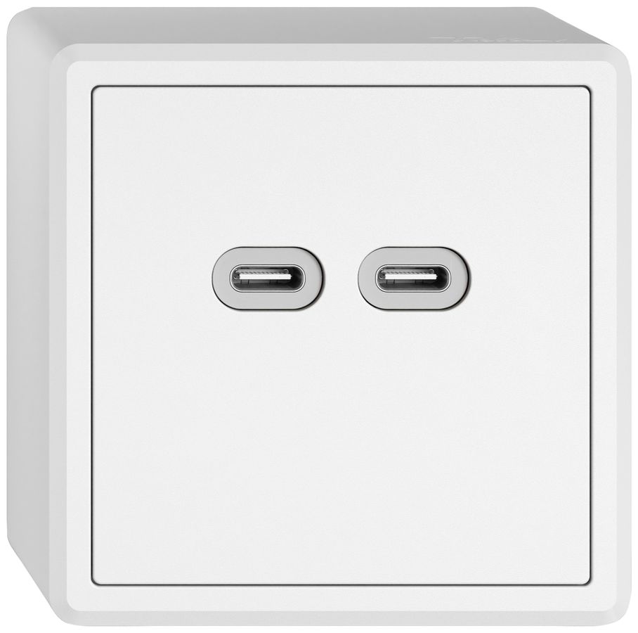 AP-USB-Ladesteckdose EDIZIO.liv SNAPFIX® 230VAC 18W 2×USB Typ C ws