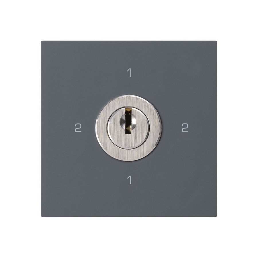 Intérieur interrupteur à clé kallysto 3/1L anthracite avec serrure Kaba 8