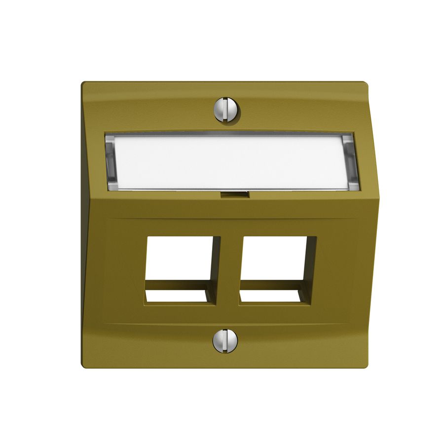 Montageset EDIZIOdue F, mit Schrägauslasshaube, für 2×Keystone, olive