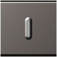 EB-Leuchtwippschalter MOS 3/1L 10A magnesium 2 Module