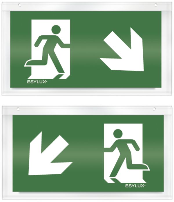 Plaque avec pictogramme ESYLUX SLD, recto/verso flèche vers le bas d/bas g