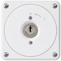 Contatto rotativo a chiave INC robusto bianco senza coperchio 2P combinazione