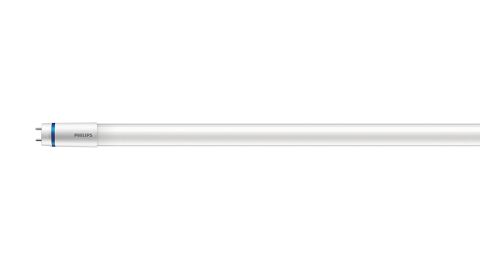 T8 Tubo LED per BC/230V