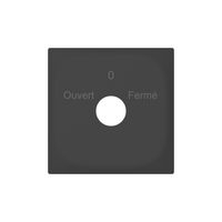 Plaque frontale SIDUS avec gravure anthracite