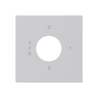 Kit frontale per interruttore a chiave S1 60×60mm kallysto 0-1-1+2-2 grigio chi.