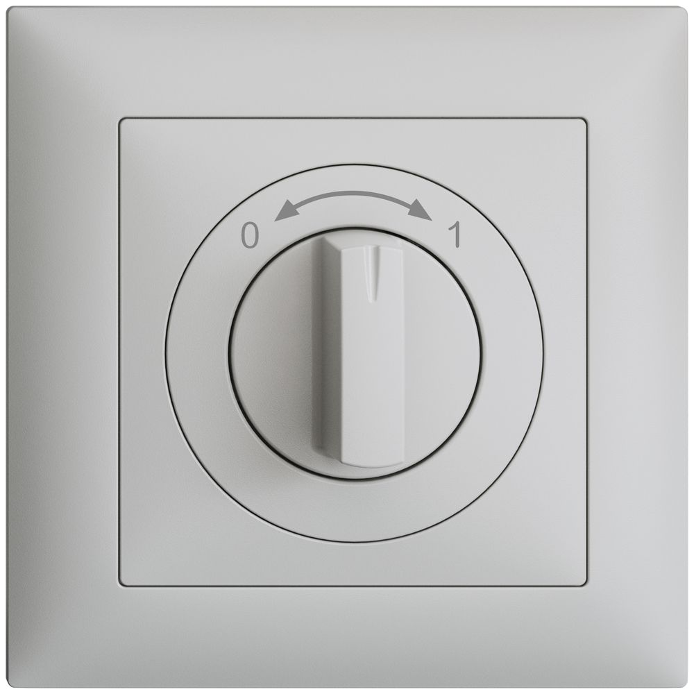 Frontset EDIZIOdue 0<->1 hellgrau 88×88mm für Schwenktaster