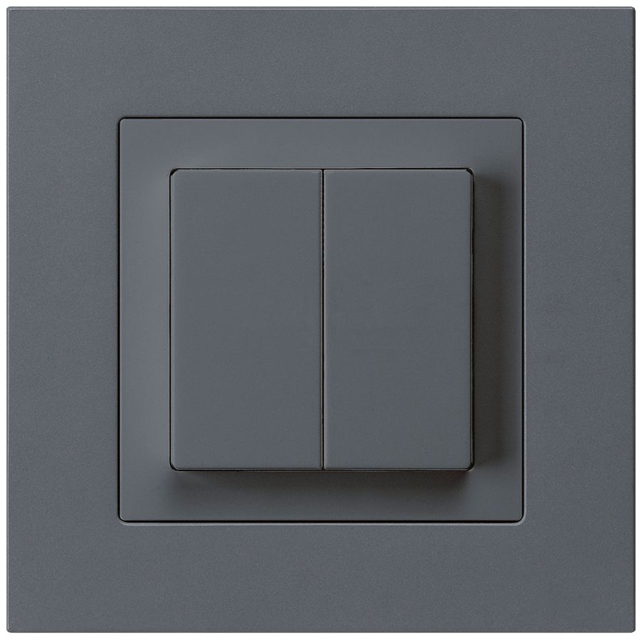 UP-Taster kallysto.pro AR 2L anthrazit