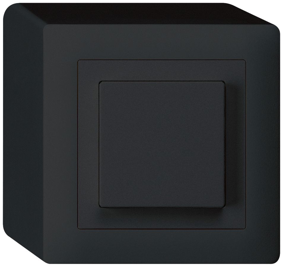 AP-Taster kallysto AR/2L schwarz