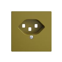 Frontplatte EDIZIOdue 23 olive