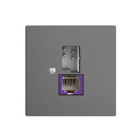 Dose T+T 6P/1×RJ45 DSL-Breitband EDIZIOdue dunkelgrau