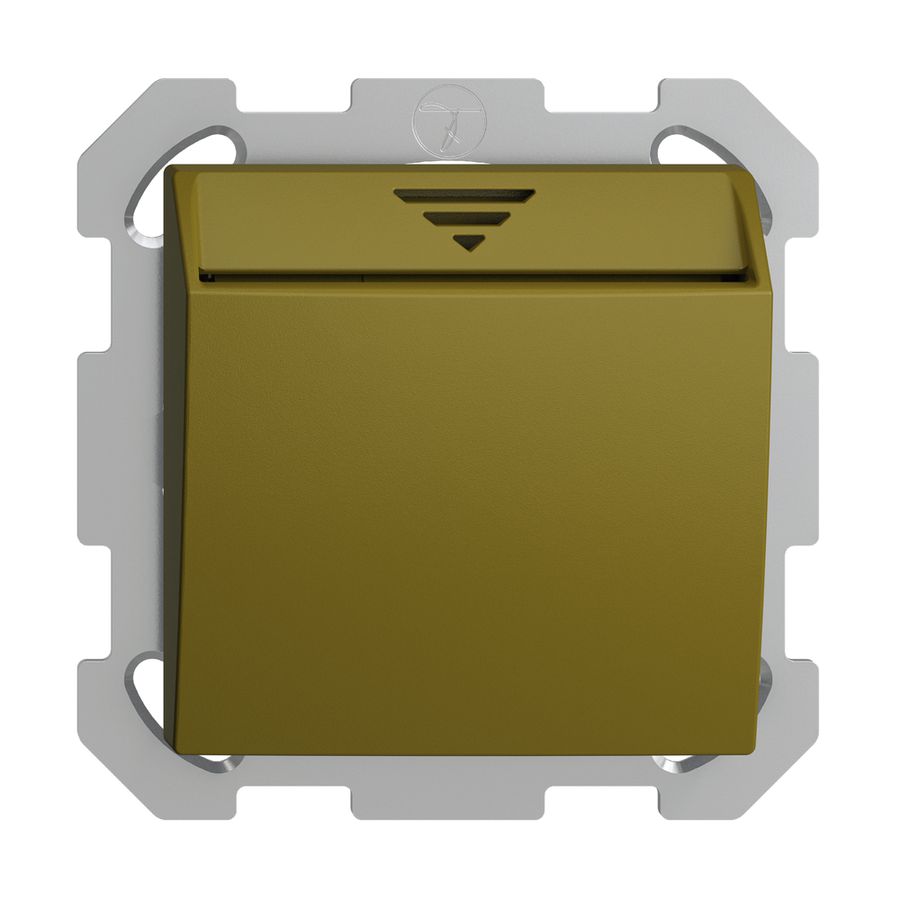 UP-Schalter Hotelcard 250VAC 1L EDIZIOdue olive