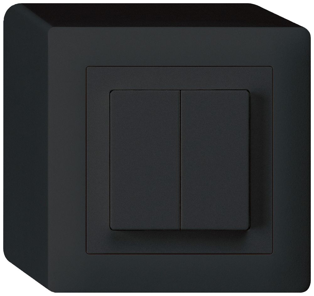 AP-Taster kallysto 2×AR/1L schwarz