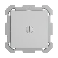 UP-Blindabdeckung EDIZIOdue hellgrau