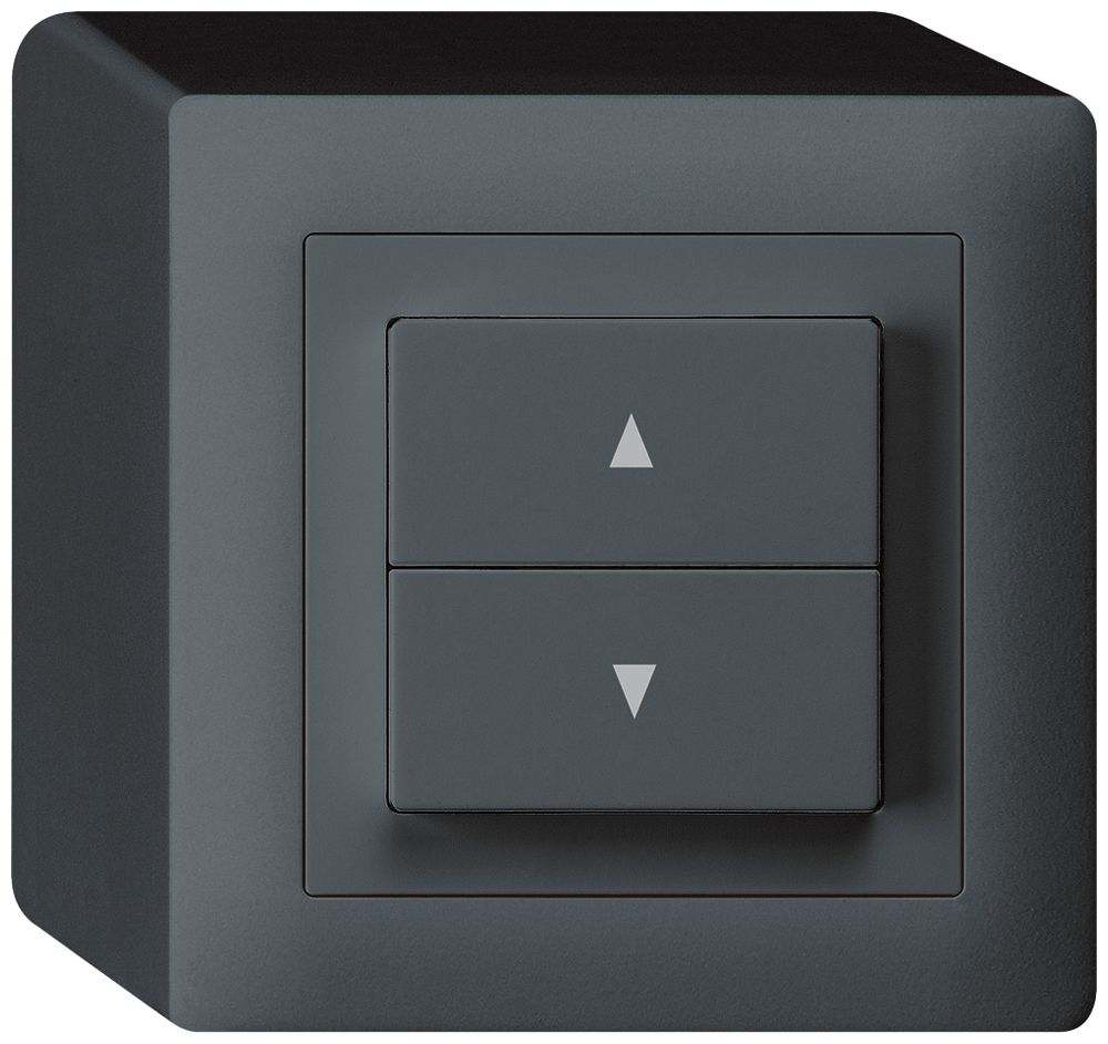 AP-Storentaster kallysto anthrazit mit 2 Funktionstasten Steckklemmen