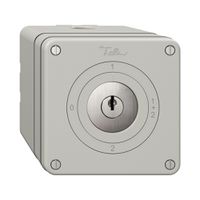 NAPU-Drehschalter NEVO, 1/1 L, mit Schloss&2 Schlüsseln, KS, 0-1-1+2-2,lichtgrau