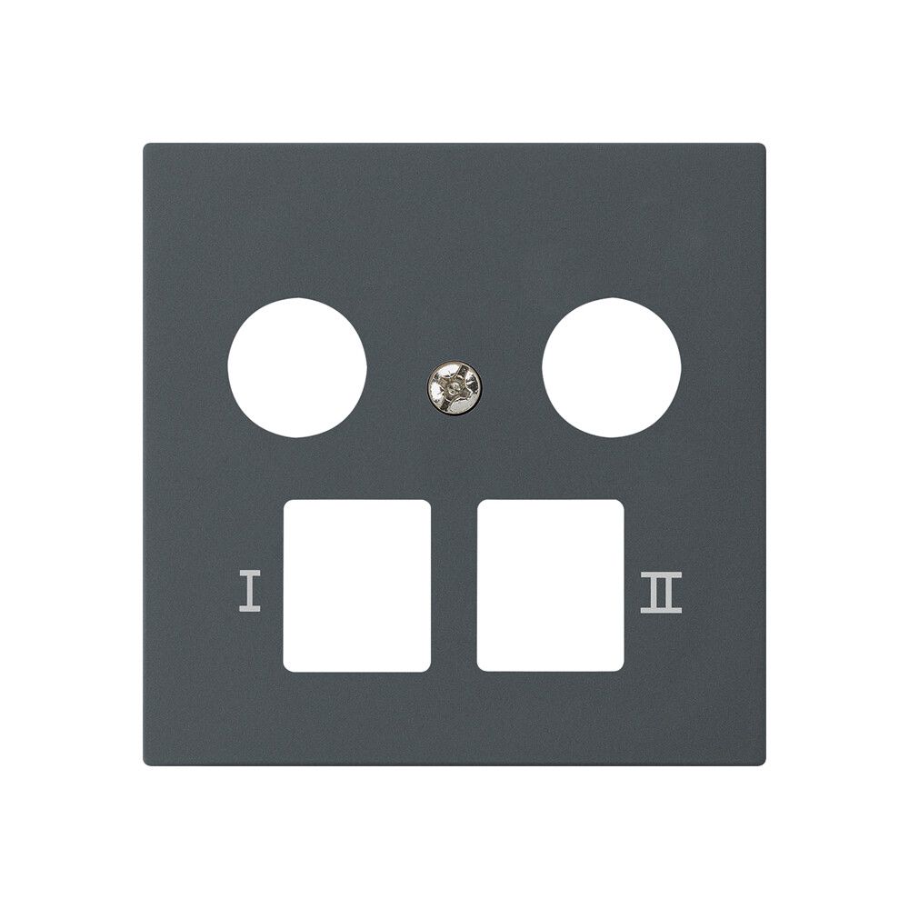 Placca frontale kallysto per R&M HWS antracite 2 fori multimedia