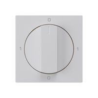 Einsatz zu Drehschalter kallysto 0/2L hellgrau mit Drehgriff