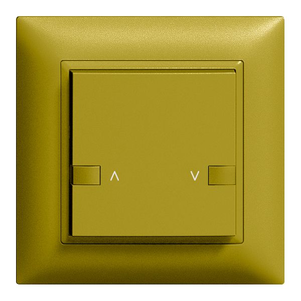 Tasto INC ZEP mot.1c/1t staz.centr/sec. EDIZIOdue olive