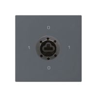 Intérieur interrupteur à clé kallysto 0/3L anthracite serrure sûreté s.cylindre