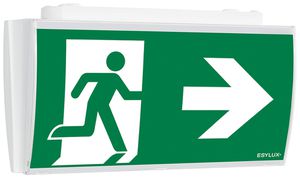 Lampada di emergenza ESYLUX SLF LEDi SC/C fissaggio a soffitto
