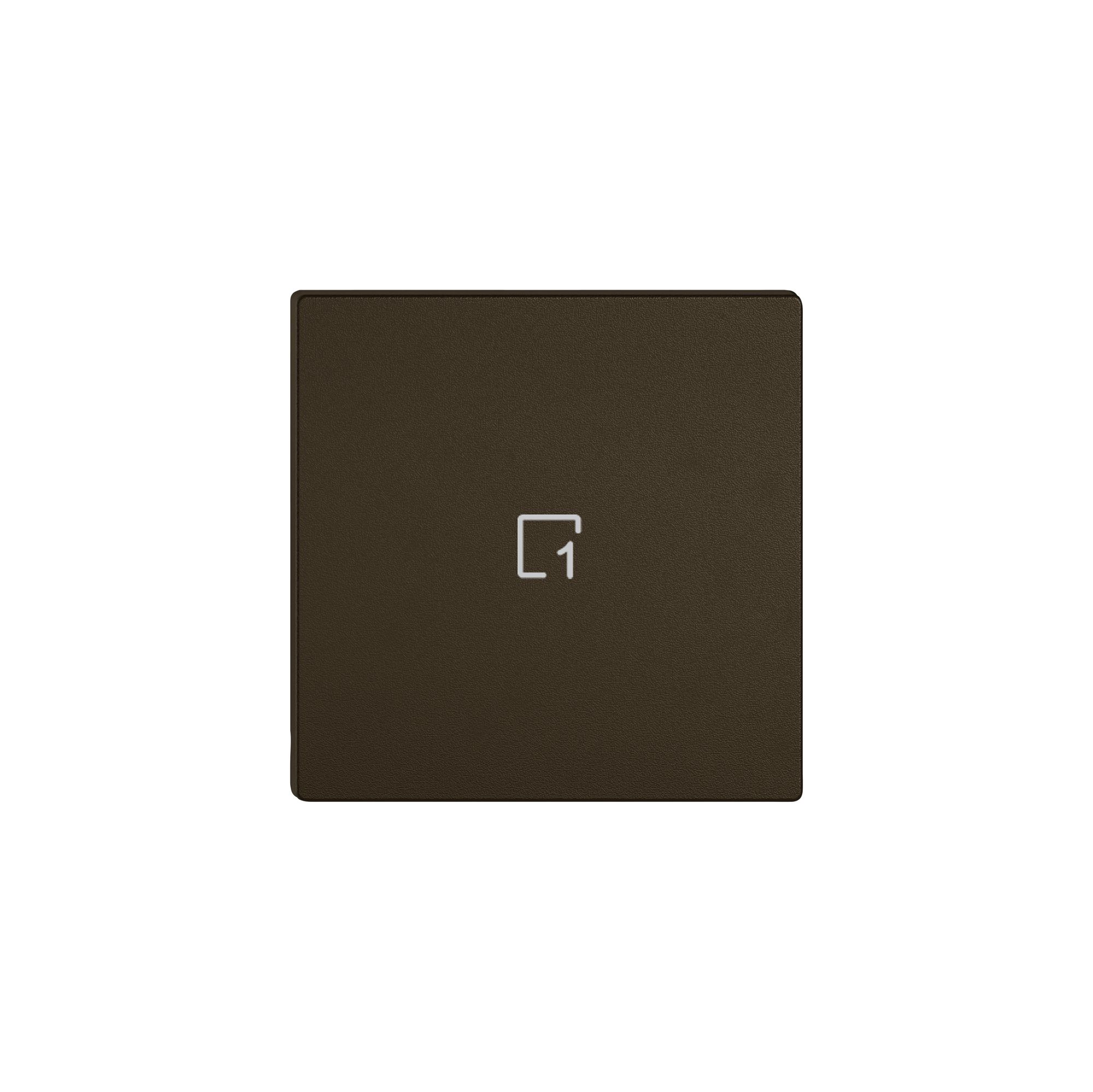 Taste 1/1 EDIZIO.liv Wiser mit SNAPFIX® mit Symbol Szene 1 br