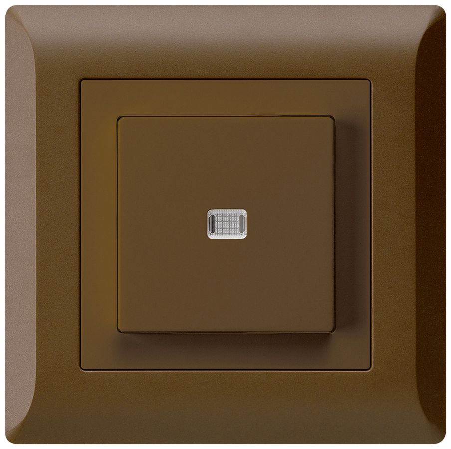 UP-Leuchttaster kallysto.line ARK 2L braun