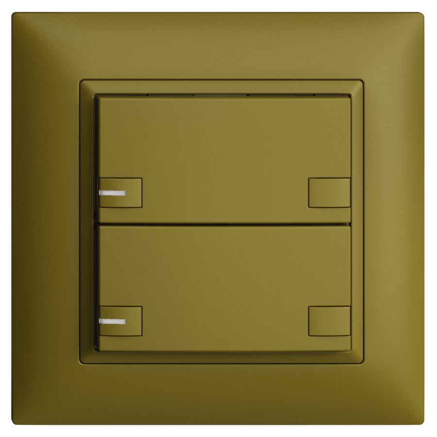 UP-KNX-Taster RGB EDUE FMI, 250mW, m.RGB-LED, 2×Taste, 2×Tastenb., ov